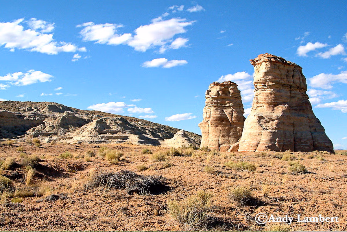Elephant Feet Arizona